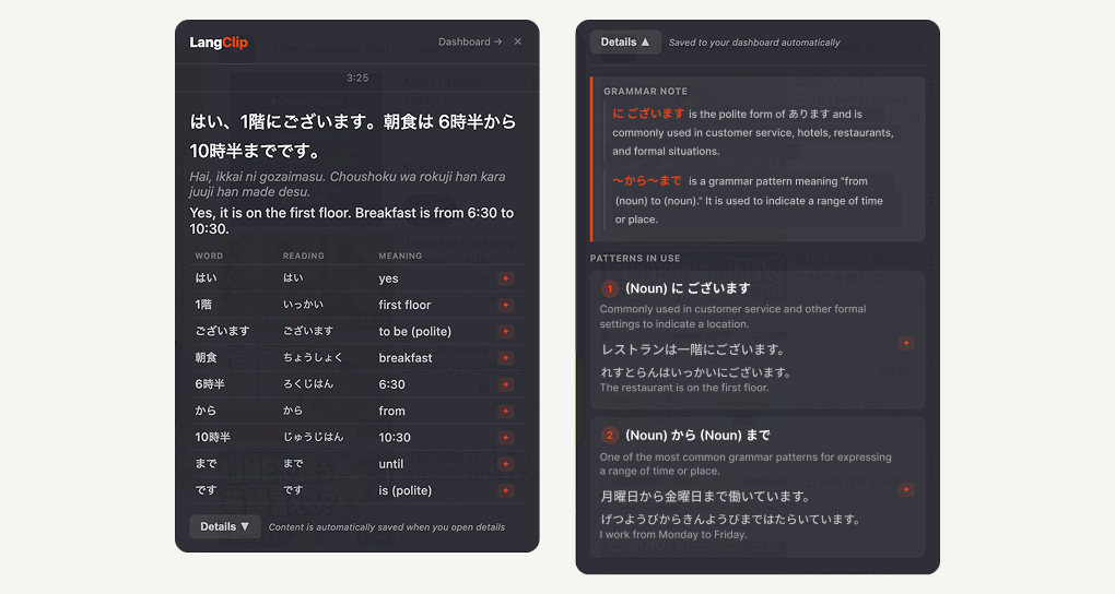 LangClip Details view showing a word list on the left and grammar notes with example sentences on the right